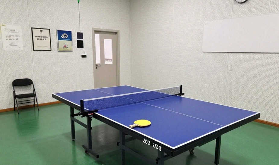 Bóng bàn trẻ Việt Nam: Vì sao vô địch khu vực dễ hơn vươn ra châu lục